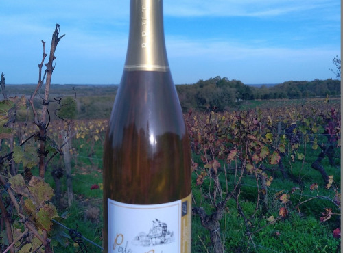 Château des Rochers - Perle des Rochers