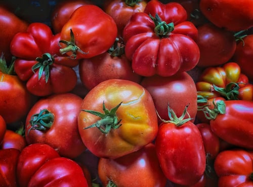 La Ferme d'Artaud - Tomates à sauce 5kg