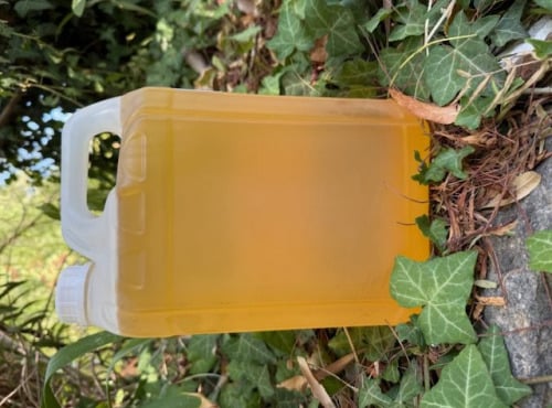 L’Oliveraie du Coudon - Huile de tournesol vierge BIO bidon 5l