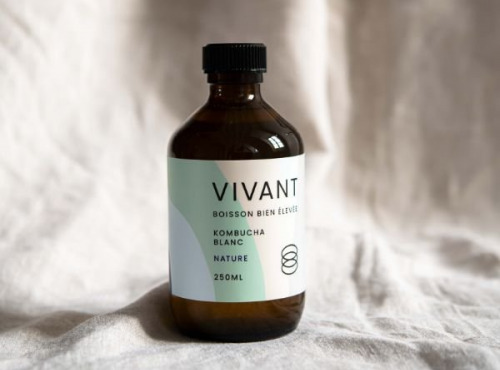 Vivant Kombucha - Kombucha Thé blanc Bio x12