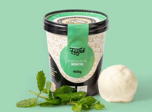 Mademoiselle Fayel - Crème Glacée Fraîcheur de Menthe - 100% Bio 500ml