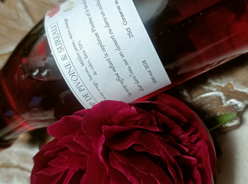 Rébecca les Jolies Fleurs - Sirop de Pivoine et Sureau