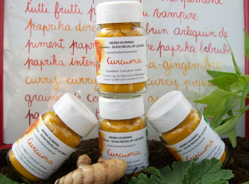 HERBA HUMANA - Curcuma Bio Cultivé En France (lot de 4x25g)