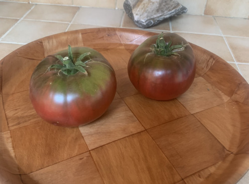 Ferme Cadillon - Tomates charnues Noires de Crimée - Pleine terre et HVE - 1 Kg