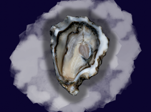 Le Termer - Huîtres de Normandie IGP N°4-36 Pièces "Saveurs de Normandie"