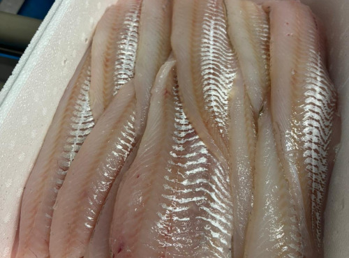 Opale Vivier - Box Eco - Filets de poissons blancs