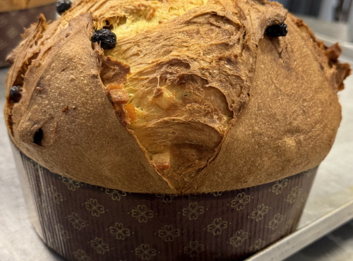 Délices de Flore - Panettone à l'huile d'olive de Varages
