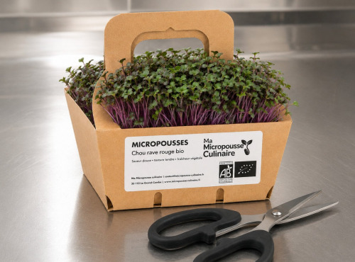 Ma Micropousse culinaire - Micro-pousses bio – Pack Découverte – Brocoli, radis pourpre, pois vert & roquette – 4 barquettes