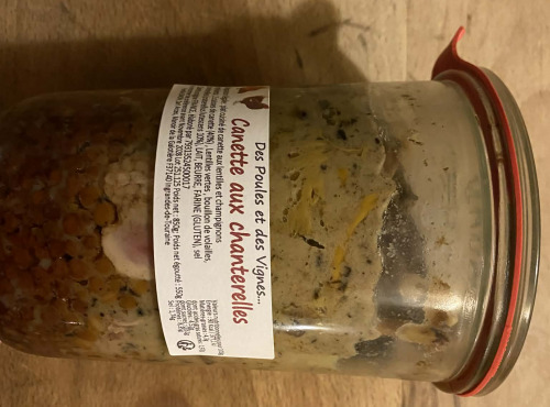 Des Poules et des Vignes à Bourgueil - Canette aux chanterelles