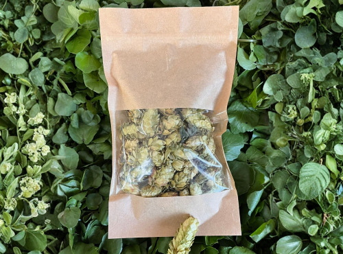 Cressonnière de Montmirault - Houblon pour tisane