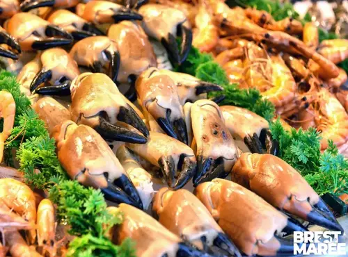 Brest Marée - Pinces de Tourteaux cuites - 1kg