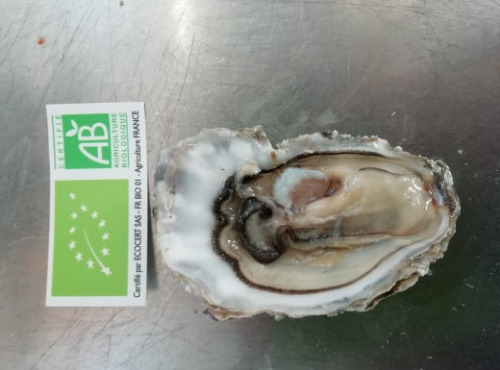 Les Huîtres Courdavault Alain & Fils - Huîtres Fines Bio Courdavault Alain: 2 Douzaines Calibre 3 (65/84 Grammes)