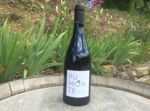 Depuis des Lustres - Comptoir Corse - Calvi Pumonte - Domaine Alzipratu - rouge
