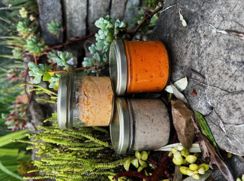 L’Oliveraie du Coudon - RILLETTES DE CREVETTES A LA CORIANDRE 90GR