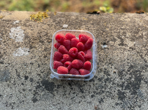 Les Asperges et Framboises du Soissonnais - Framboises 125gr