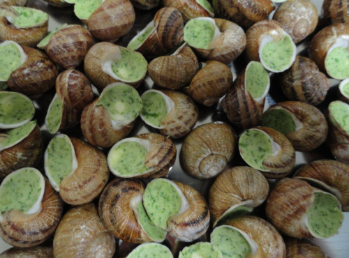 Limero l'Escargot Mayennais - Coquilles D'escargots Gros Gris FRAIS AU BEURRE PERSILLE