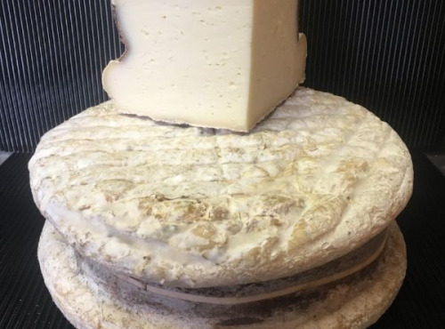SCEA Brebis du Berry - Tomme de brebis "Sanglée"