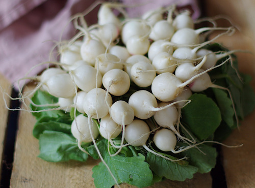 Maison Argentain - Radis Blanc - 200g