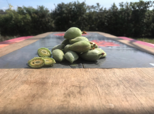 La Boite à Herbes - Amande Verte De Fontvielle - 100g