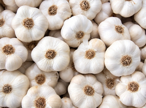 Naturélium - Ail blanc bio de la Drôme – Têtes d’ail sec, 1 kg, 2 kg ou 5 kg