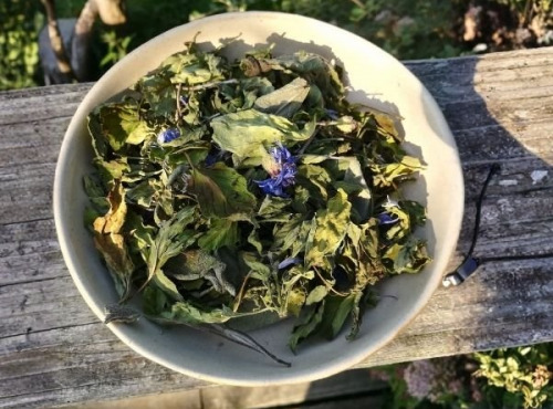 La Cabane à plantes - Infusion L’Aurore