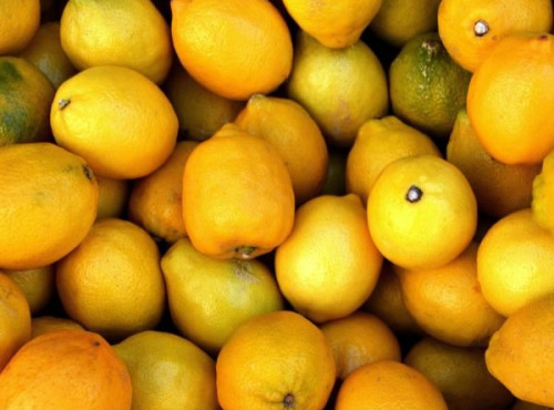 Les Herbes du Roussillon - Citrons producteur-300gr