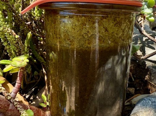 L’Oliveraie du Coudon - Pesto au basilic 100gr