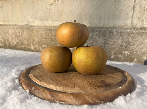 La Ferme des Prun'Elles - pomme reinette grise du Canada - 1kg