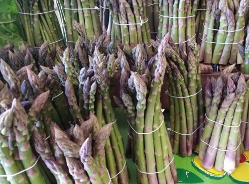 Les Bons Légumes de Sophie - Asperges vertes en vrac de 5kg