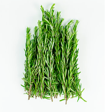 La Boite à Herbes - Romarin Frais Bio Branche Entière  10-20 Cm En Vrac (400 Brins)