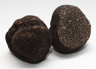 Domaine de Favard - Truffe Noire Du Périgord Fraiche Tuber Melanosporum en Morceau - 50G