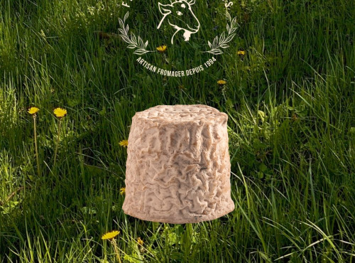 Fromagerie des Gors - Petit chèvre extra affiné