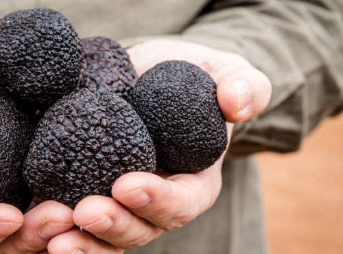 Aubertie Truffe - Truffe noire du Périgord 50g