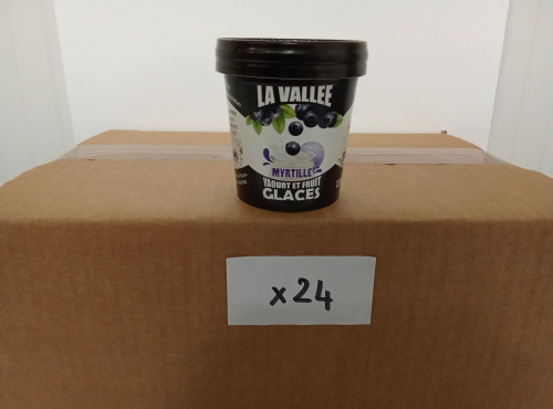 Les Glaces de la Vallée - PACK Mini yaourts glacés Myrtille "la Vallée" 24 pots de 120 ml
