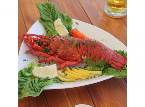 Poissonnerie Paon - Langouste Rouge cuite : Coupé en 2, 1.2kg - 1.4kg