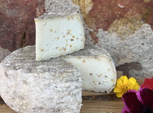 SCEA Brebis du Berry - Tomme de Brebis au Fenugrec