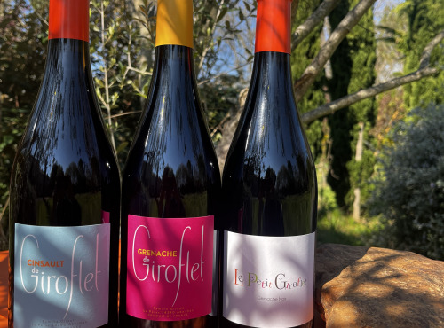 Domaine Giroflet - Trio fruité rouge de Giroflet