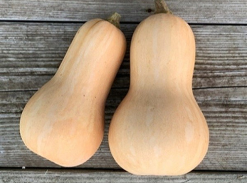 ChâteauFer - Butternut 1kg