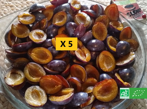 LES JARDINS DE KARINE - Quetsche violette en quartier surgelée - 5kg