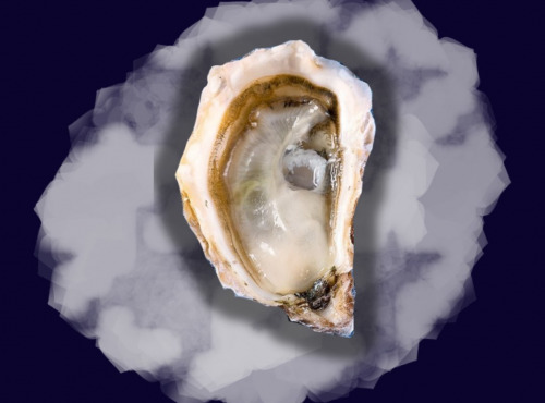 Le Termer - L'huître N°5 apéro