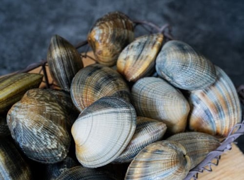 Aperibay – Les Shellfarmers épicuriens - Palourdes 1kg