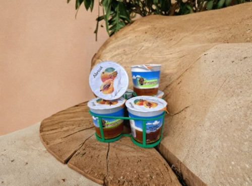 La Ferme de Labergement - Lot de 6 fromages blanc sur lit d'abricot