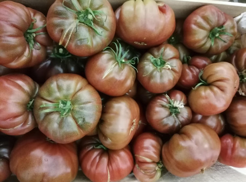 Le Châtaignier - Tomates noires de crimée - 900g