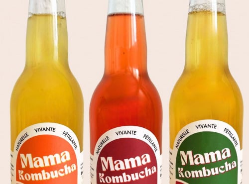 Mama Kombucha - Coffret Découverte - 3x33cl