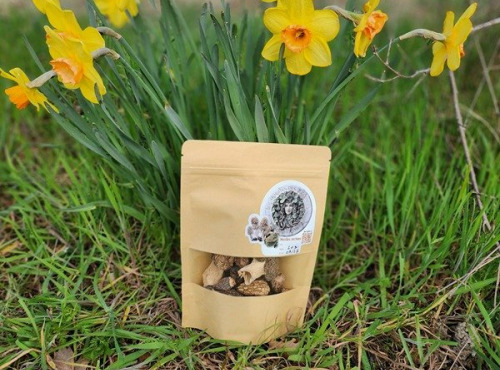 Les Morilles des Voconces - Morilles séchées 1kg