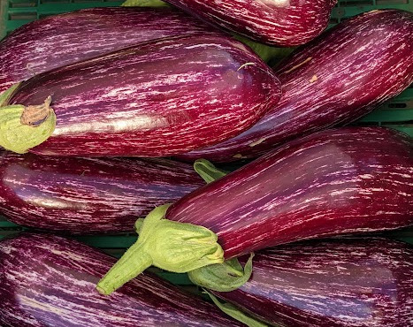 Les Jardins de Champlecy - Aubergine zébrée violette
