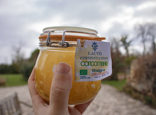 ChâteauFer - Lacto de concombre vinaigre malossol 500g