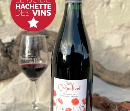 Domaine de la Chopinière du Roy - Vin rouge Saint Nicolas de Bourgueil - Cuvée coquelicot 2024 - 6x75cl