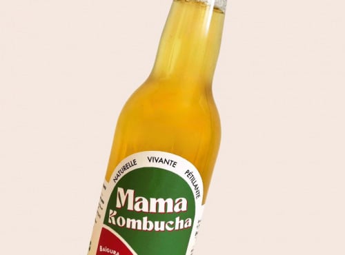 Mama Kombucha - Lot de Kombucha Baïgura 12 X 33cl - Kombucha Menthe, Piment D'espelette -