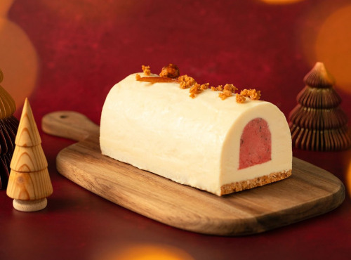 Eclat des cimes - Bûche glacée Sapin, Orange sanguine & Noisettes 6p